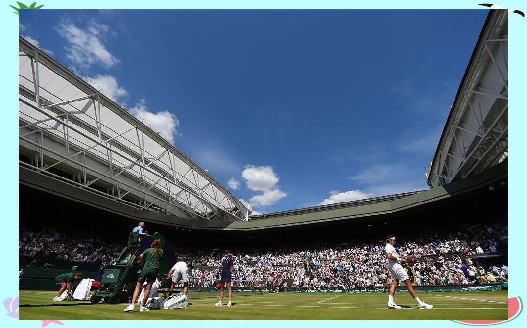 费德勒爆冷击败美国队，高光表现引爆全场！的简单介绍